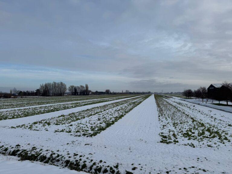 JanFarm